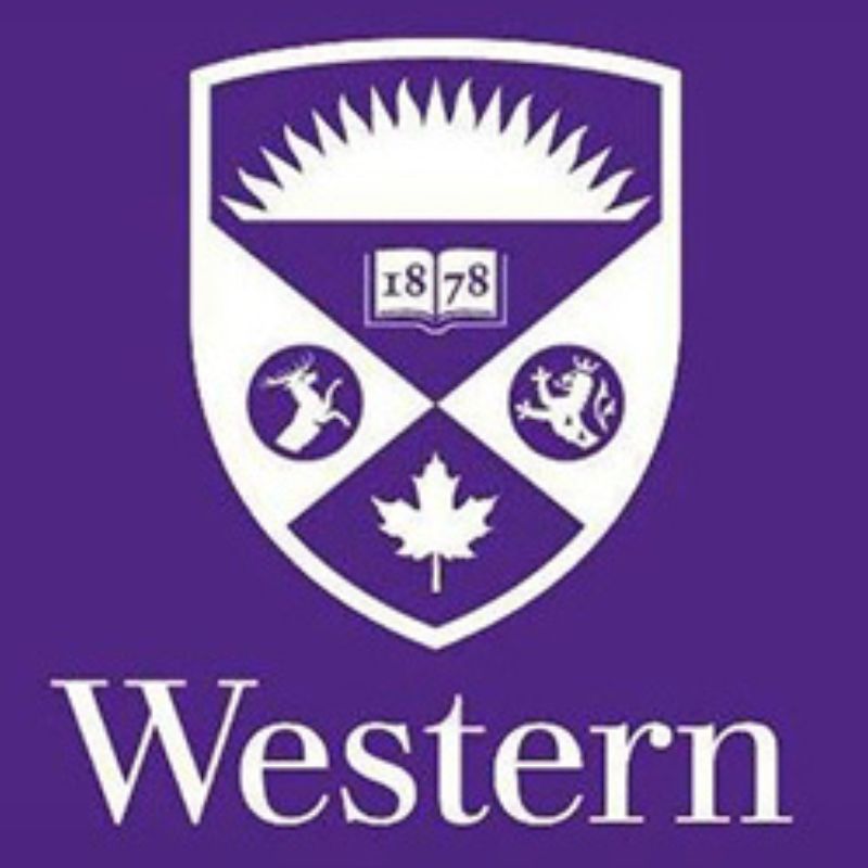 Mehrnoosh Ashraf